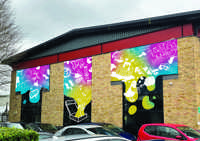 Window Vinyl