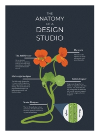 flower infographic